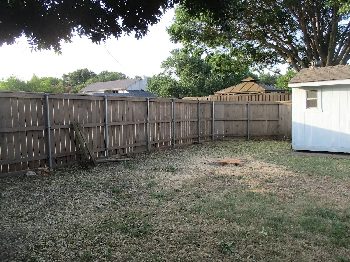 Cleared yard after professional tree removal in Saint Marie